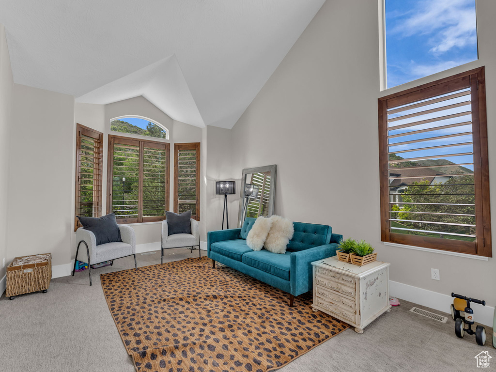 Living room with baseboards, carpet flooring, and high vaulted ceiling