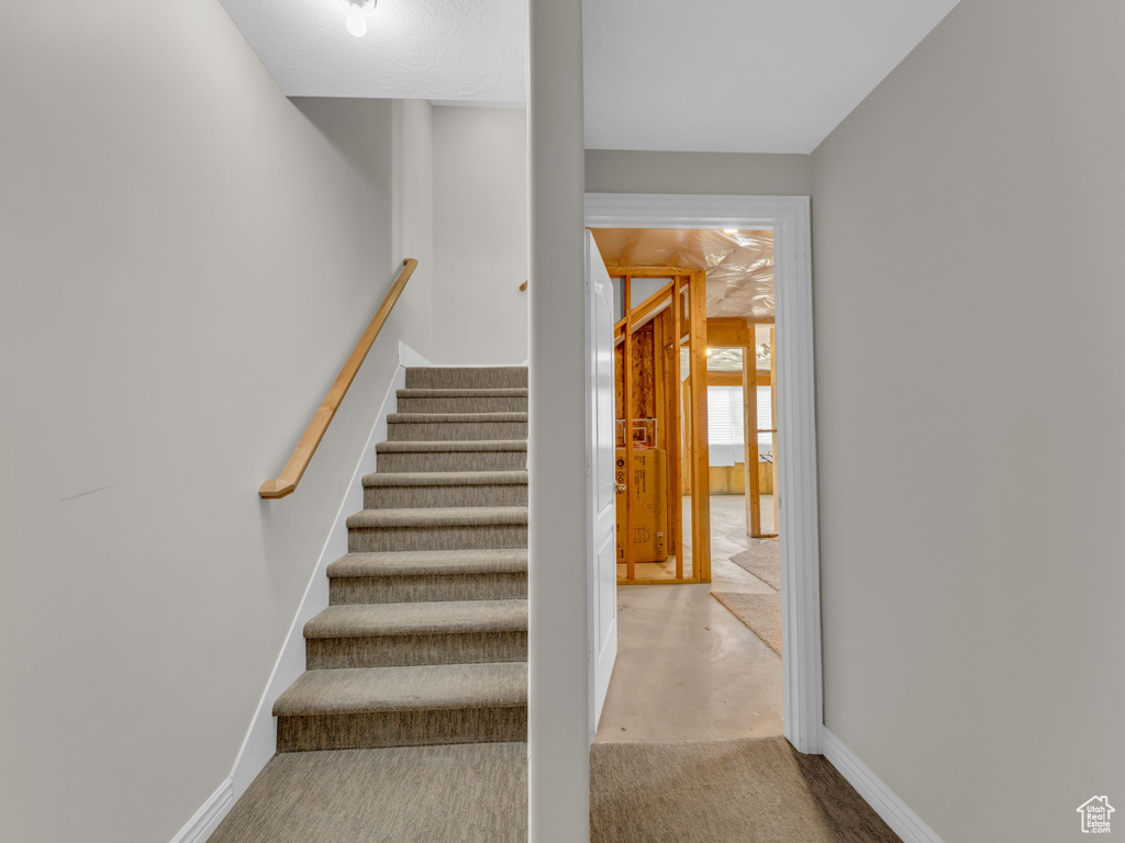 Stairway featuring carpet and baseboards