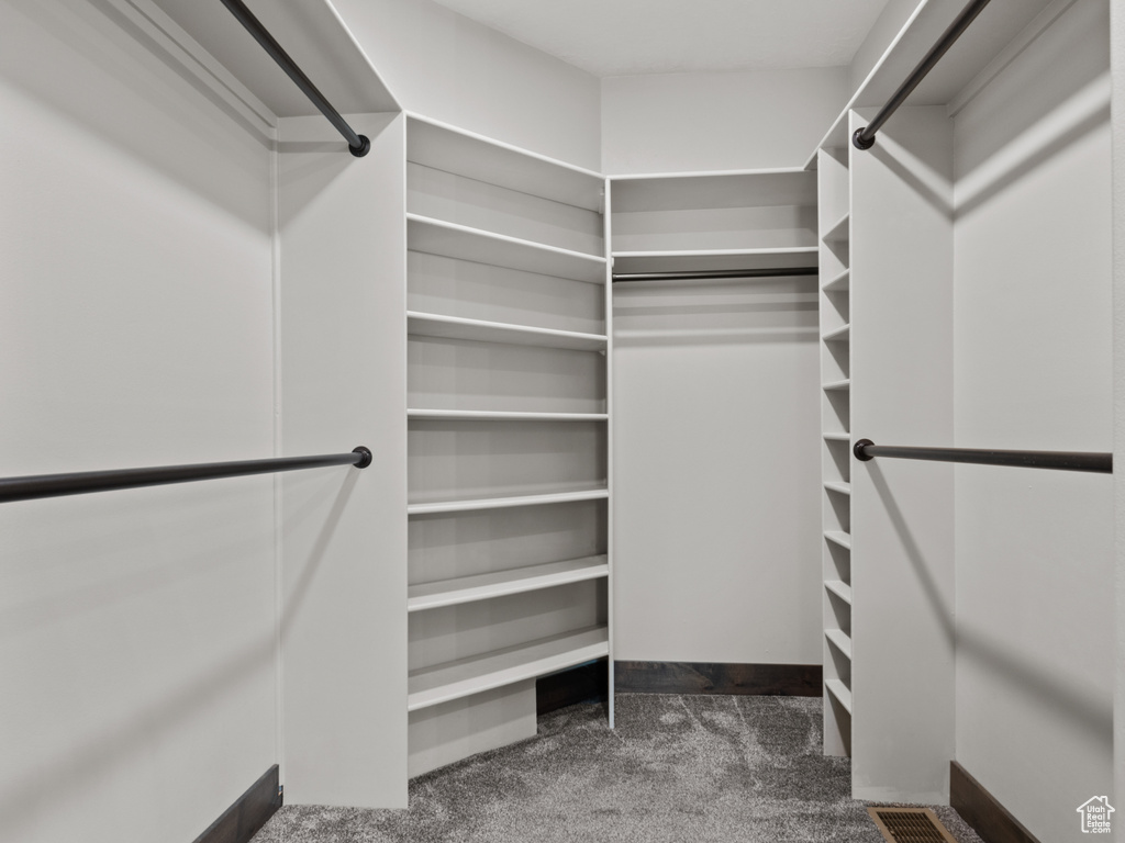 Walk in closet featuring carpet flooring