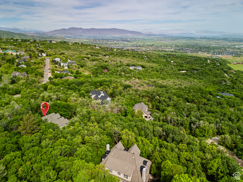 Bird's eye view of a forest and mountains