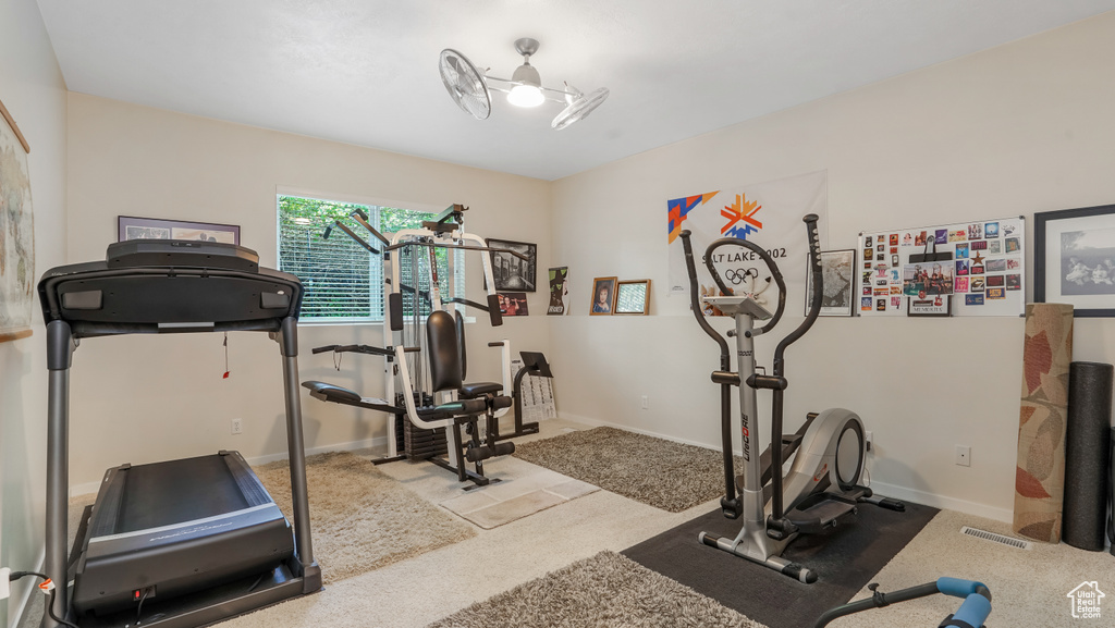 Workout area featuring carpet flooring and baseboards
