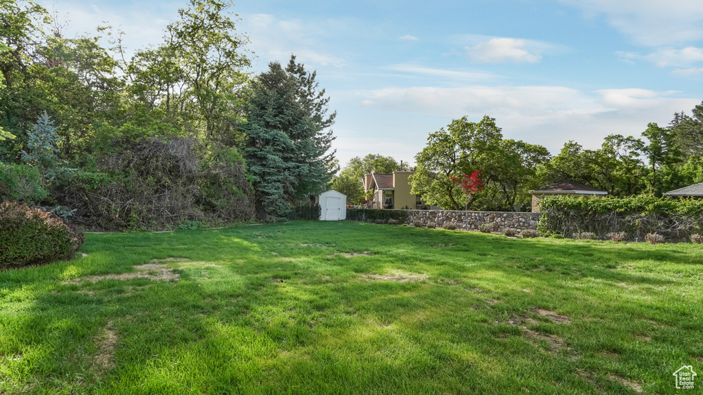 View of green lawn featuring a storage shed and an outbuilding