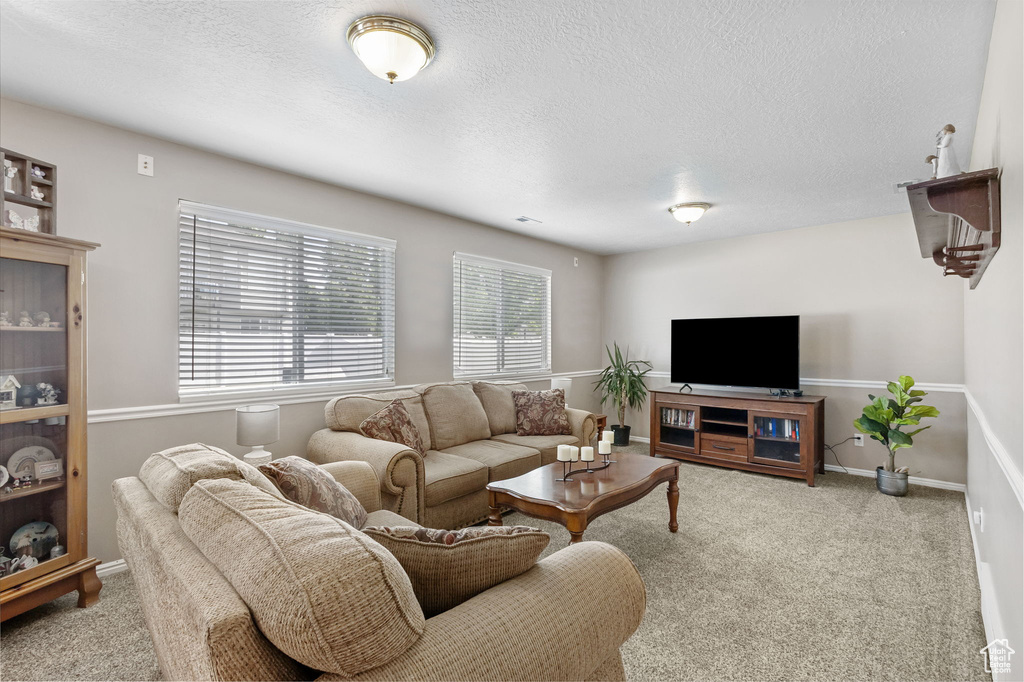 Carpeted living room with a textured ceiling and baseboards