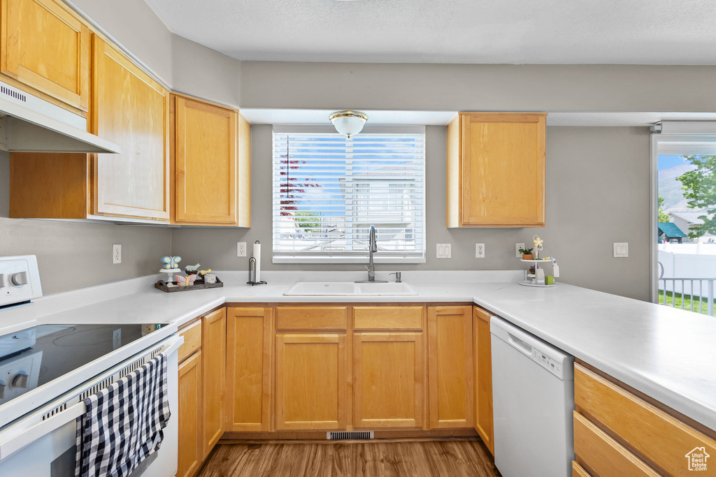Kitchen with white appliances, a sink, light wood-style floors, under cabinet range hood, and light countertops