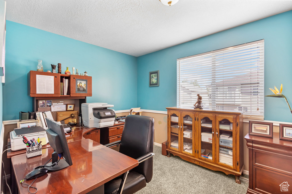 Office area with light colored carpet, a textured ceiling, and baseboards
