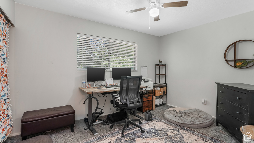 Carpeted office space featuring a ceiling fan