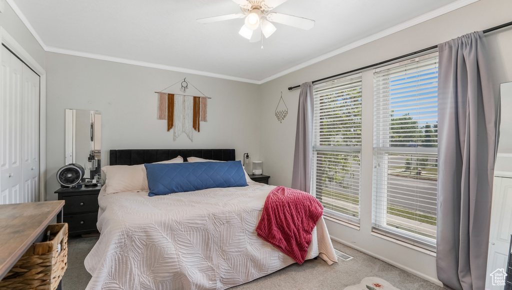 Bedroom featuring carpet flooring, ornamental molding, a closet, a ceiling fan, and baseboards