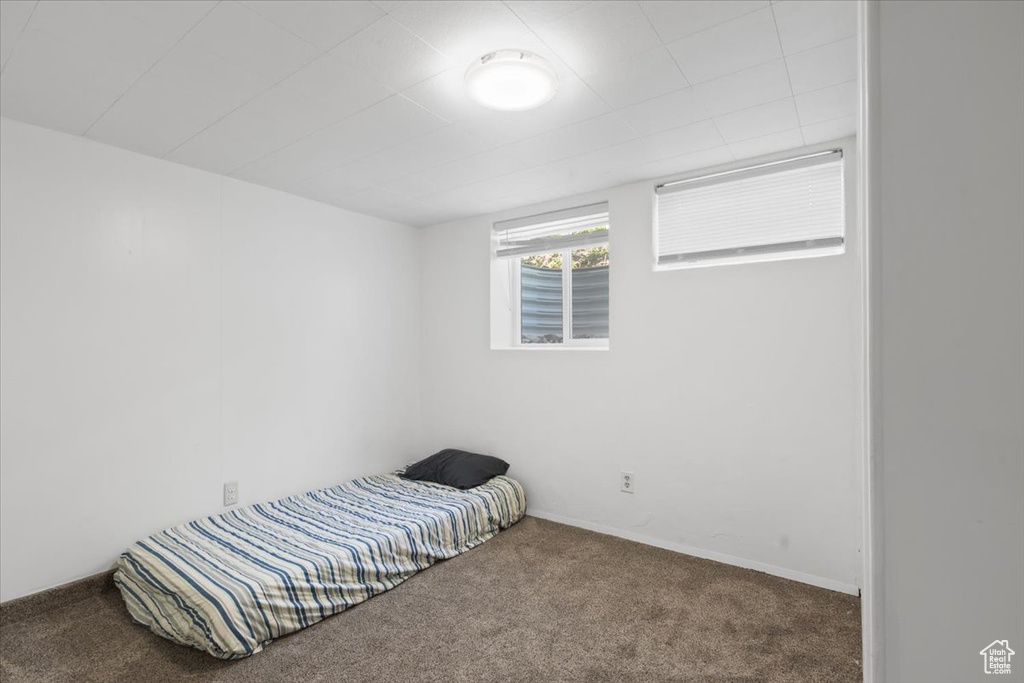 Bedroom with carpet floors