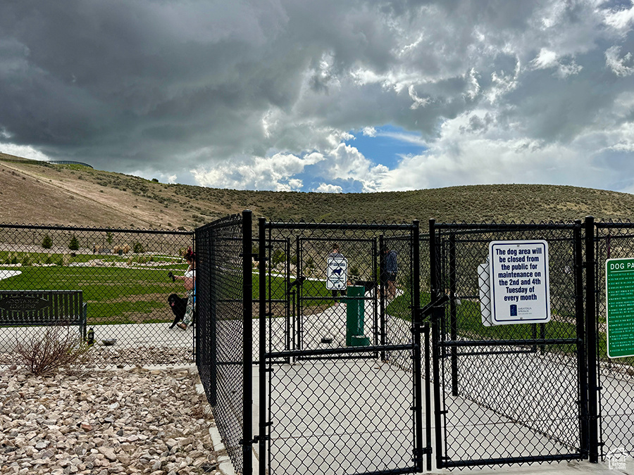 Gate with fence