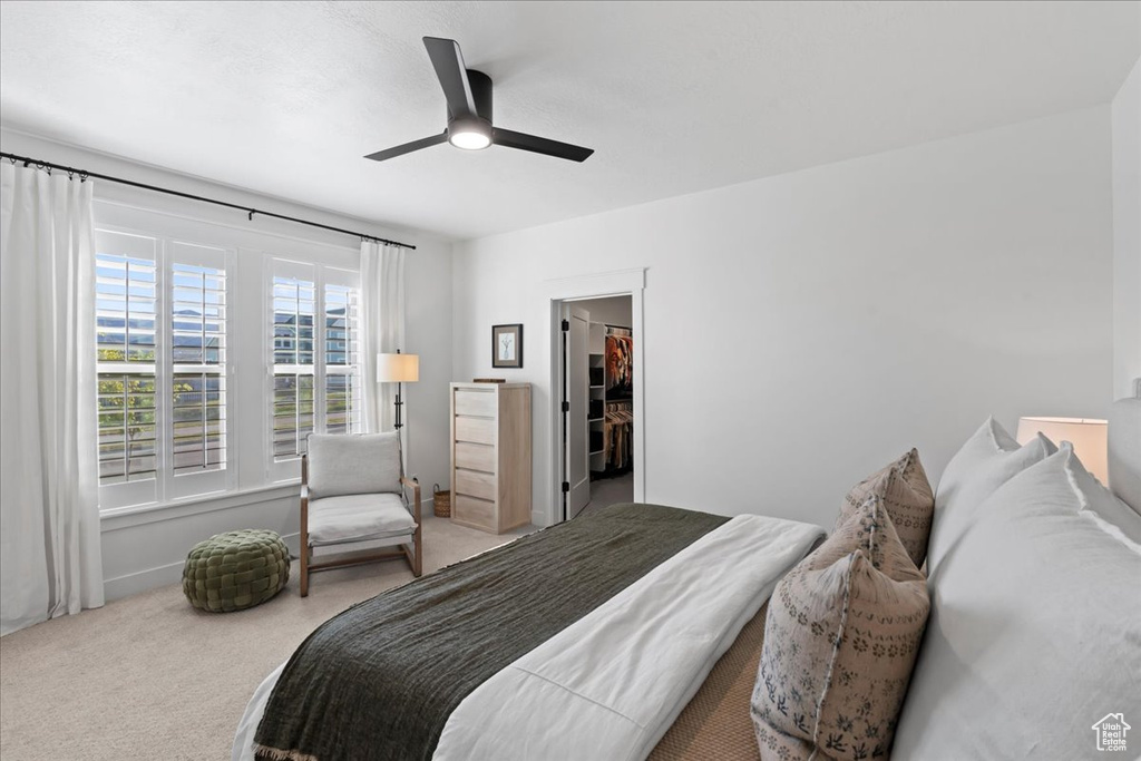 Bedroom featuring carpet, a walk in closet, and a ceiling fan