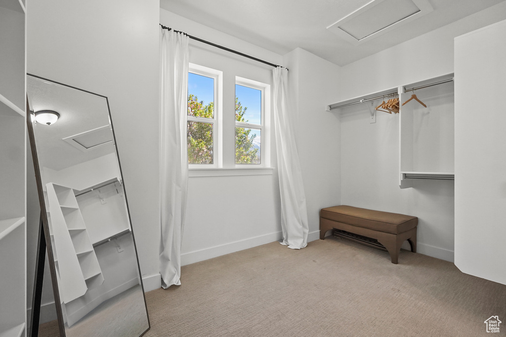 Spacious closet with attic access and carpet