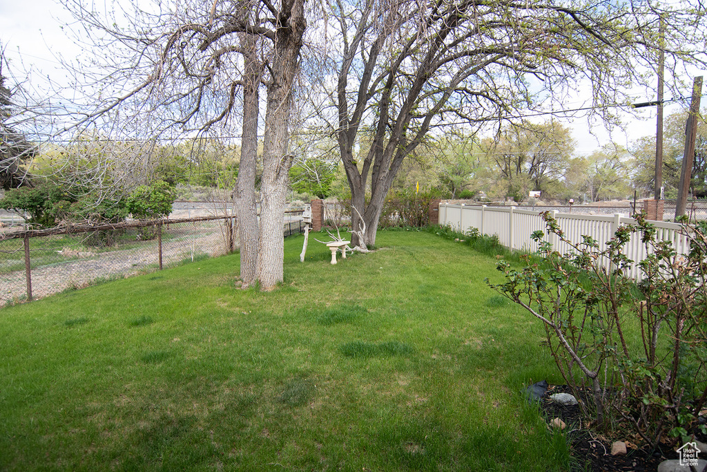View of yard