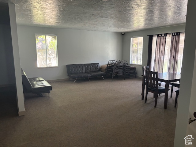 Dining space featuring carpet flooring, healthy amount of natural light, a textured ceiling, and baseboards