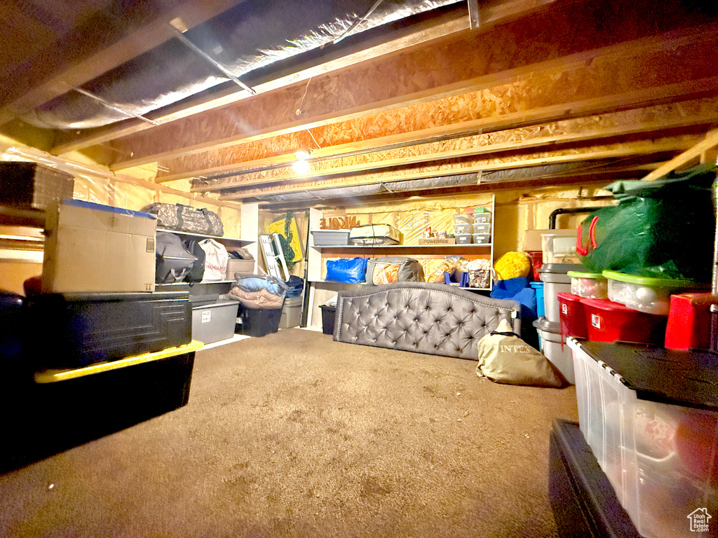Unfinished basement featuring carpet floors