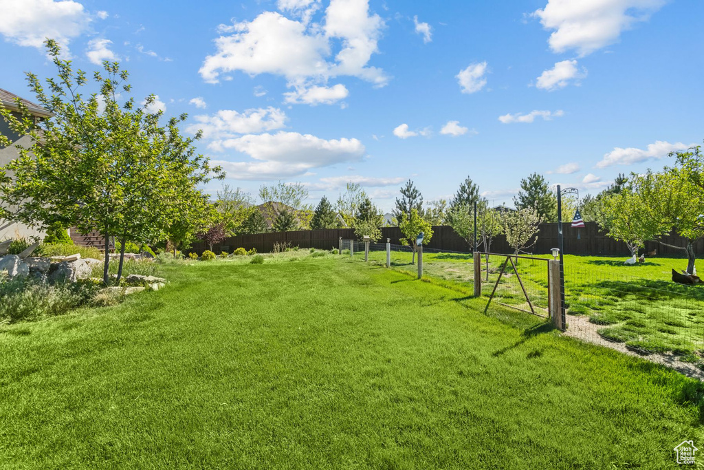 View of yard