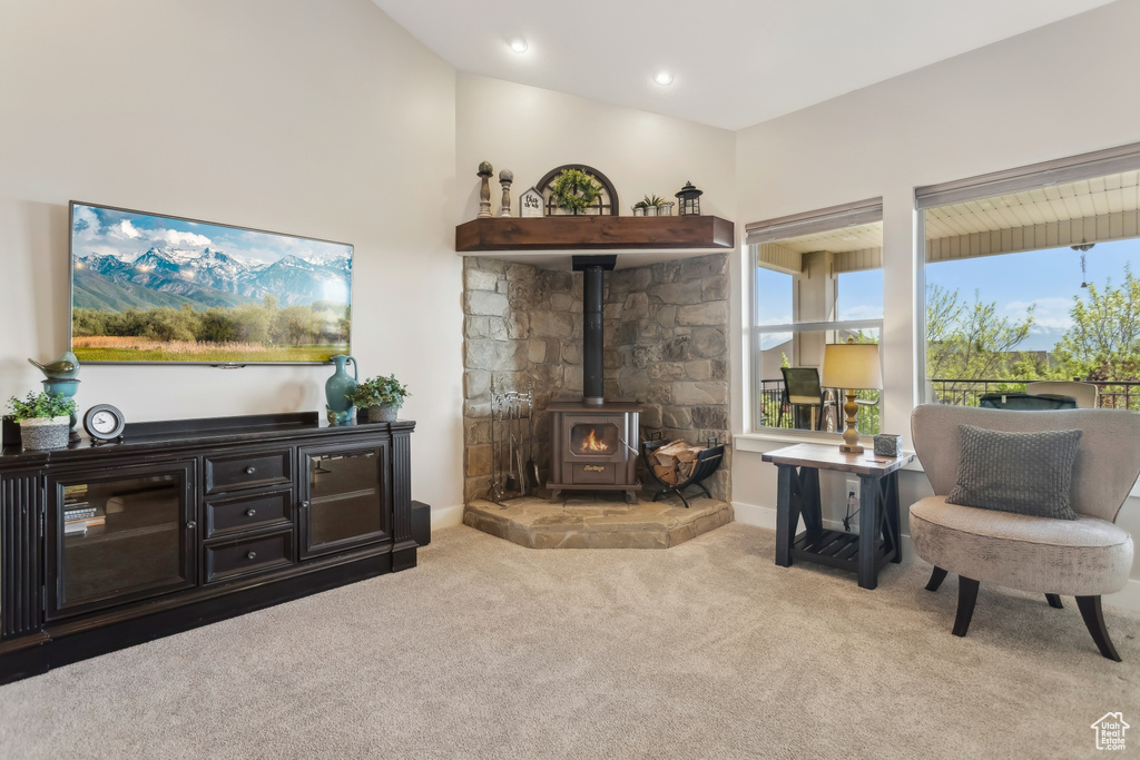 Sitting room featuring carpet floors, healthy amount of natural light, a wood stove, and baseboards