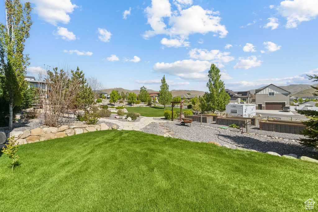 View of grassy yard featuring a residential view