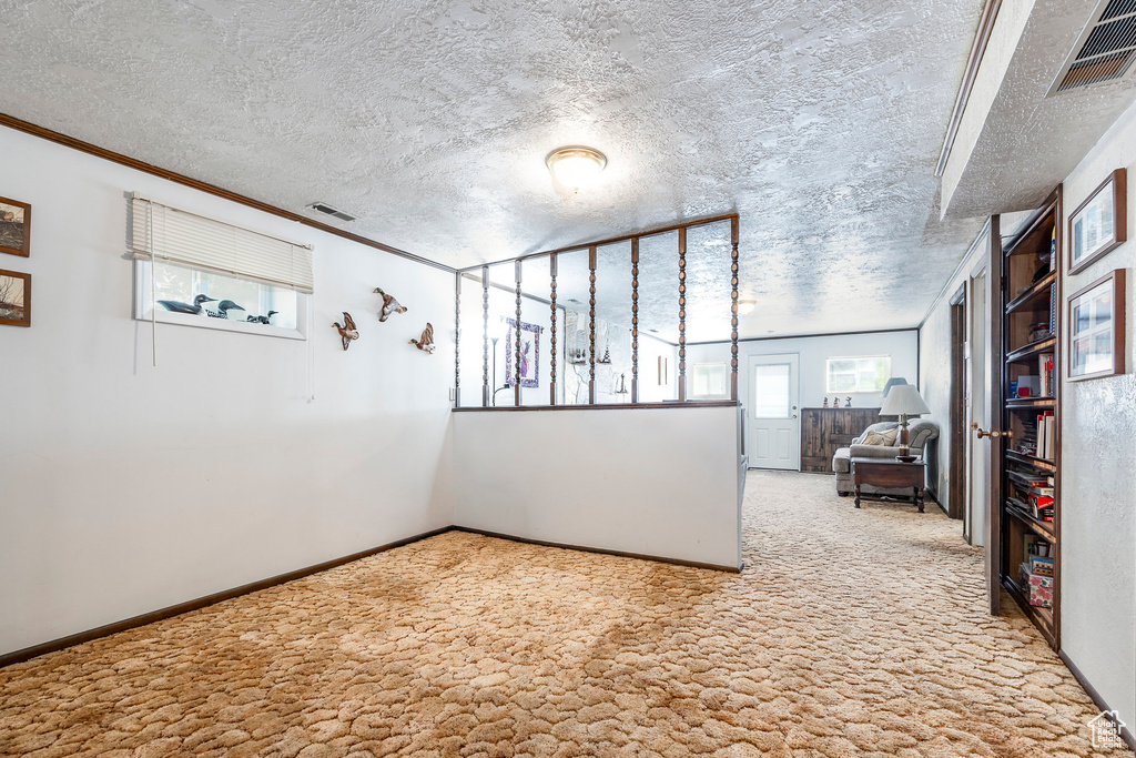 Unfurnished room with carpet, a textured ceiling, crown molding, and baseboards