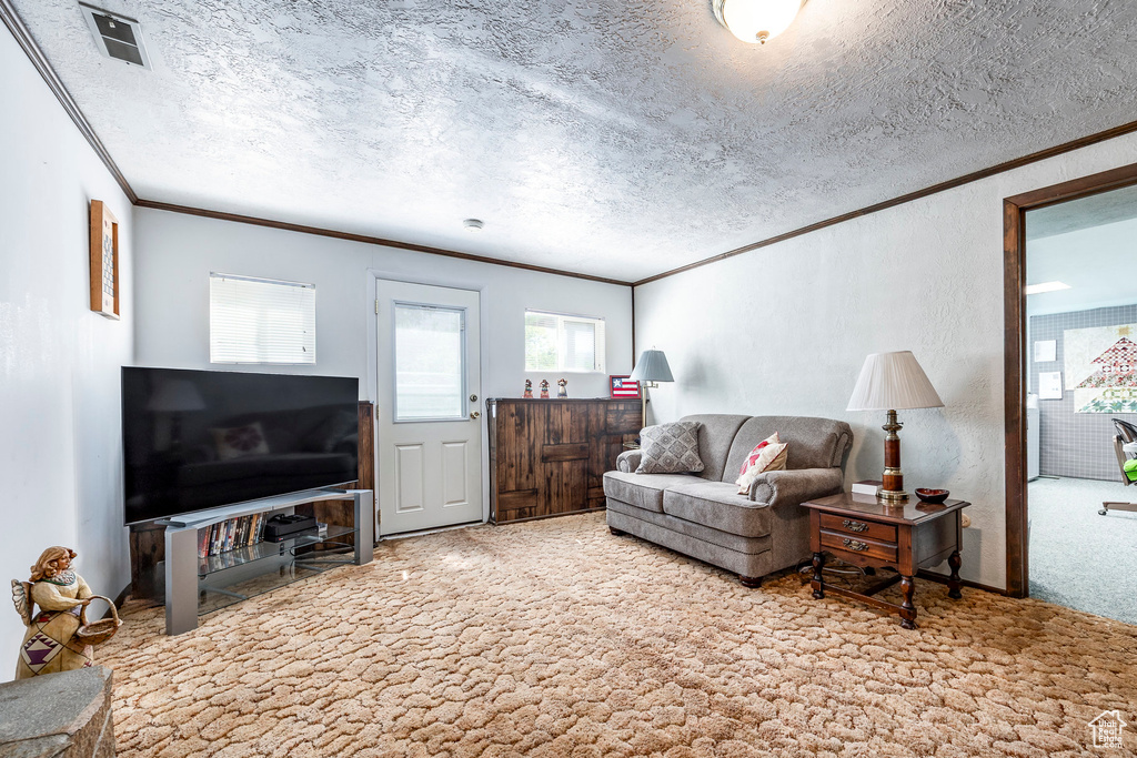 Carpeted living area with ornamental molding and a textured ceiling