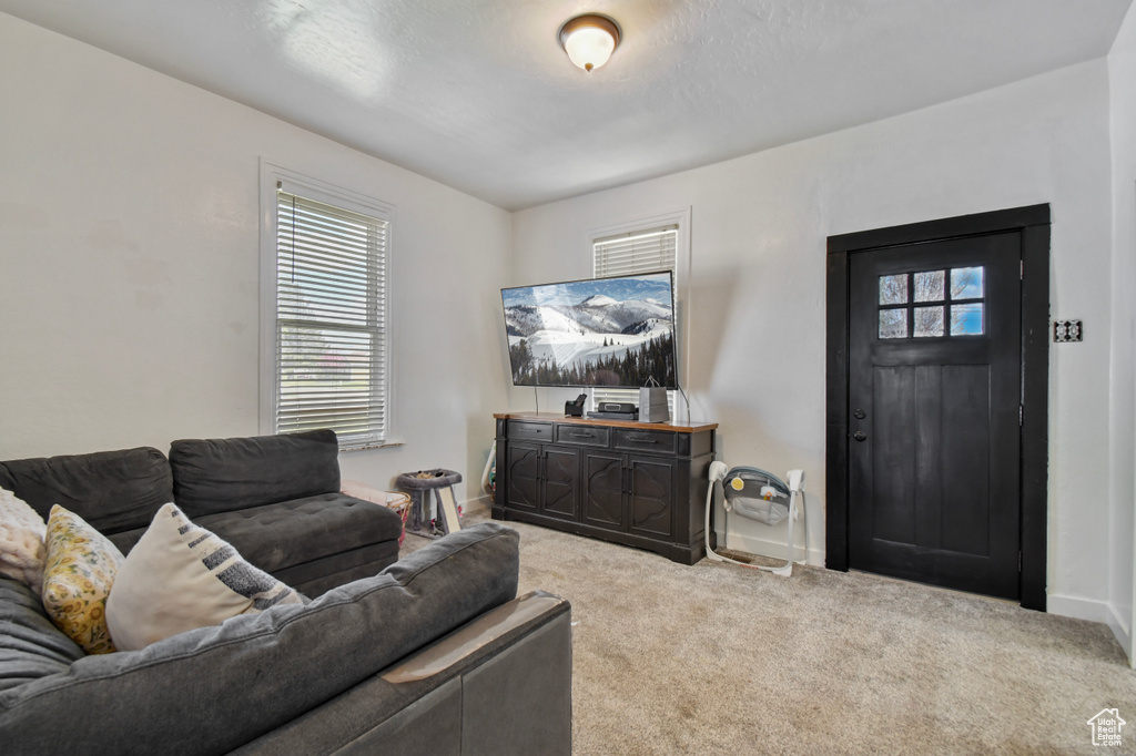Living area with baseboards and carpet floors