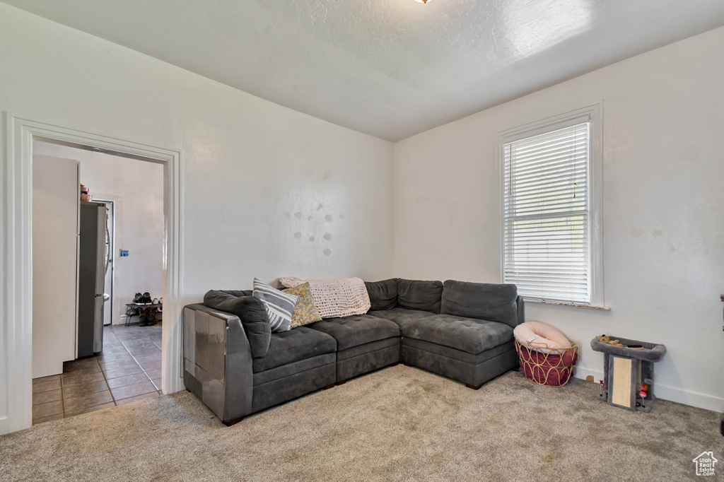 Carpeted living area with baseboards