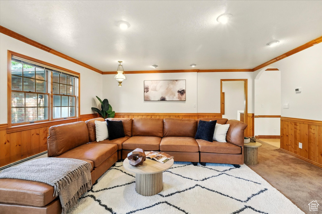 Carpeted living room with a wainscoted wall, wood walls, arched walkways, a baseboard heating unit, and crown molding