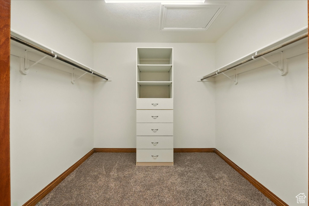 Walk in closet with carpet and attic access