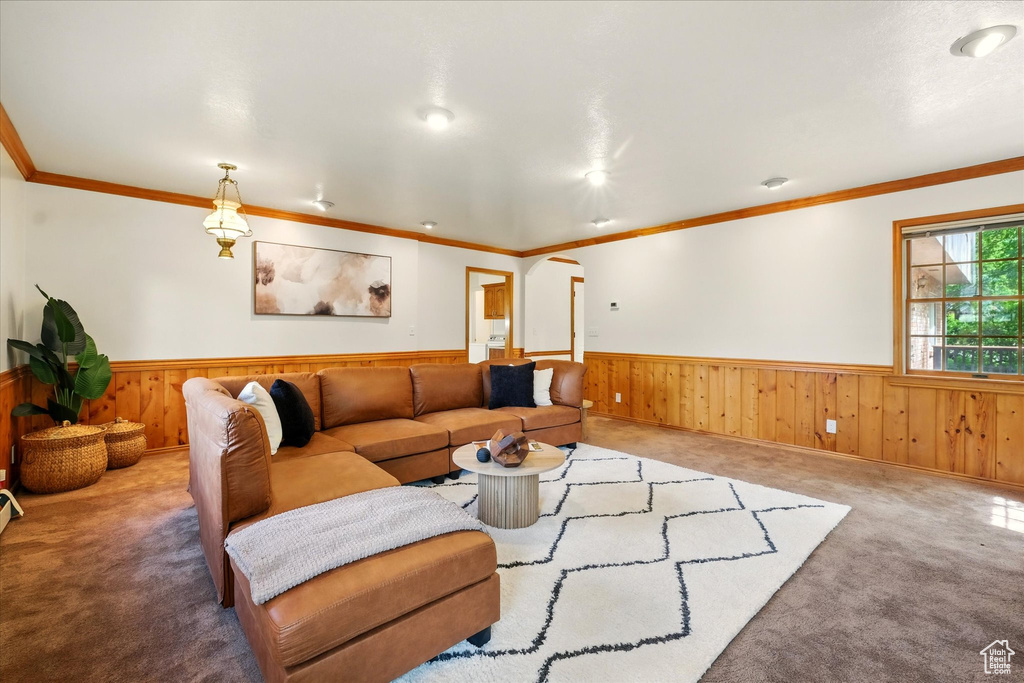 Living area featuring wainscoting, wood walls, carpet flooring, and crown molding