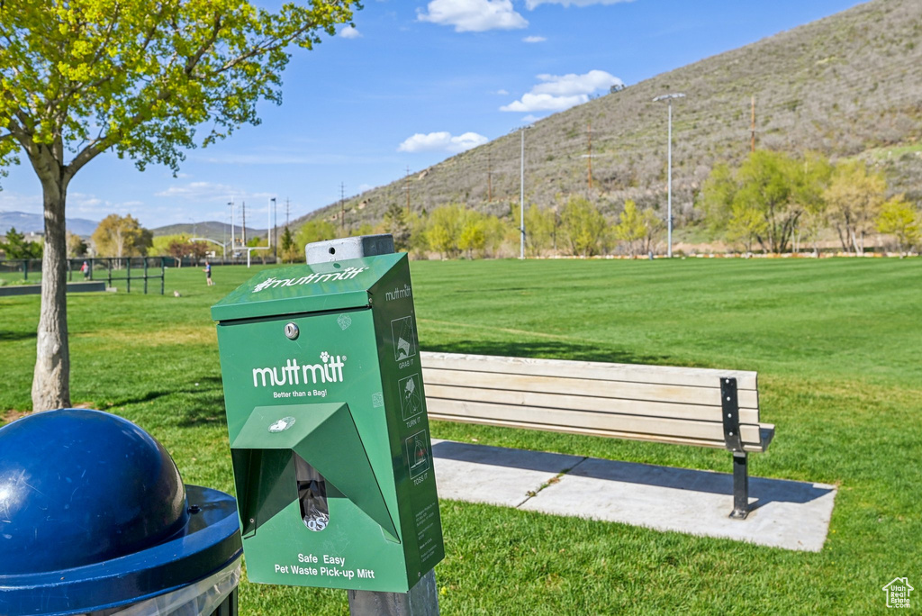 View of community featuring a mountain view and a lawn