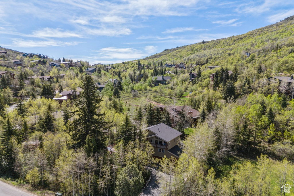 Drone / aerial view of a heavily wooded area