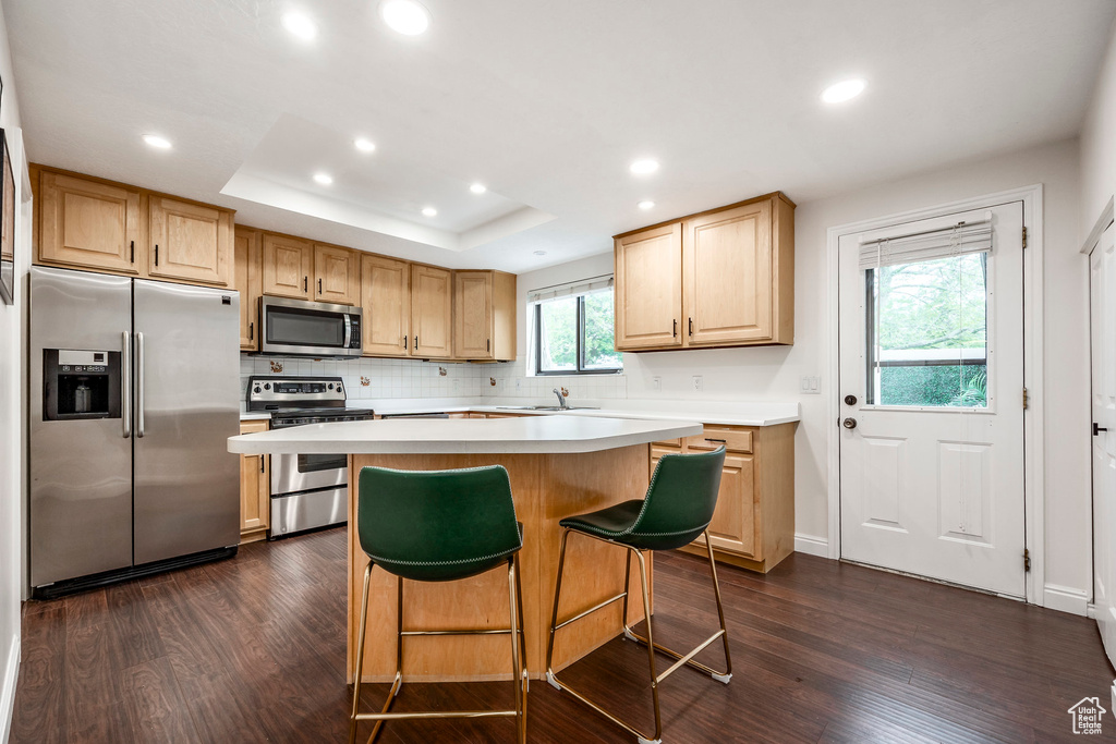 Kitchen featuring appliances with stainless steel finishes, light countertops, recessed lighting, dark wood finished floors, and light brown cabinetry