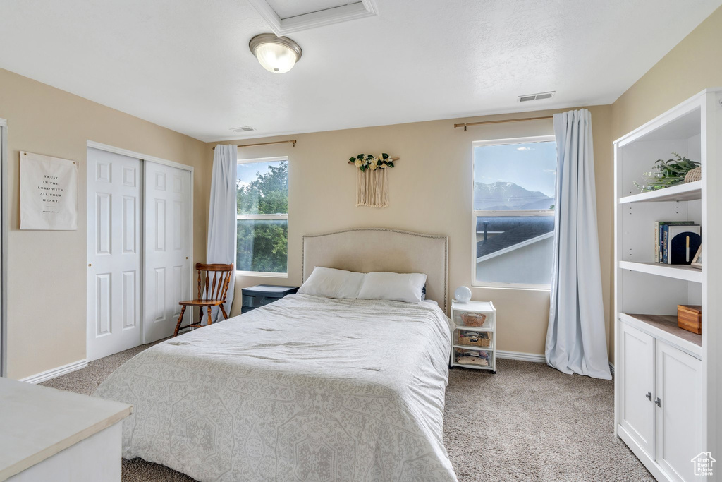 Carpeted bedroom with a closet, baseboards, and attic access