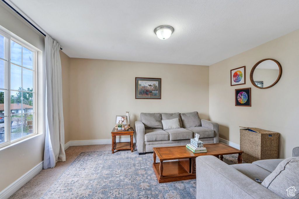 Living area with plenty of natural light, baseboards, and carpet