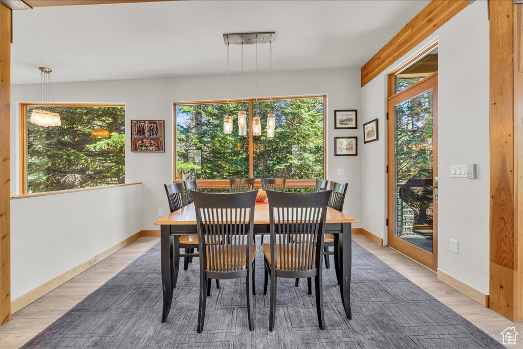 Dining area featuring wood finished floors, healthy amount of natural light, and baseboards