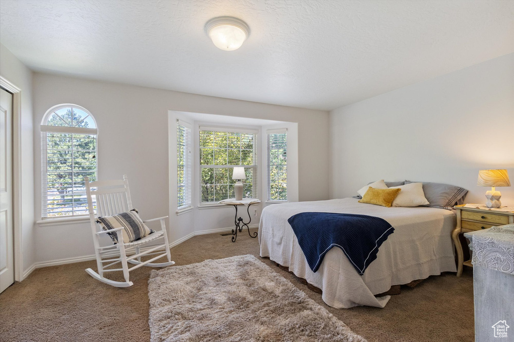 Bedroom with multiple windows and carpet