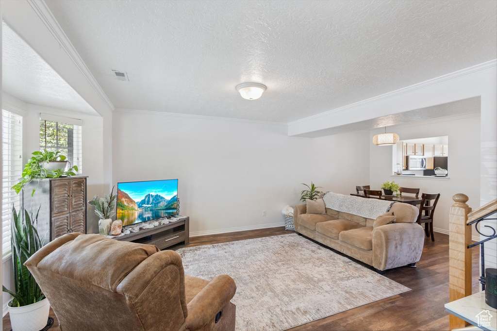 Living room featuring dark wood finished floors, ornamental molding, and a textured ceiling
