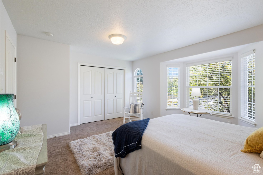 Bedroom with carpet flooring, multiple windows, and a closet