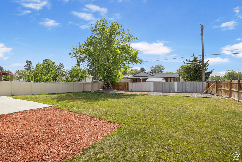 View of yard featuring a patio