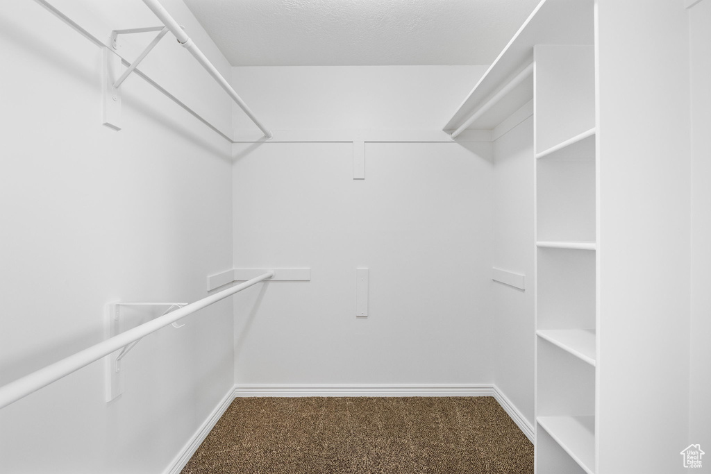Walk in closet featuring carpet flooring