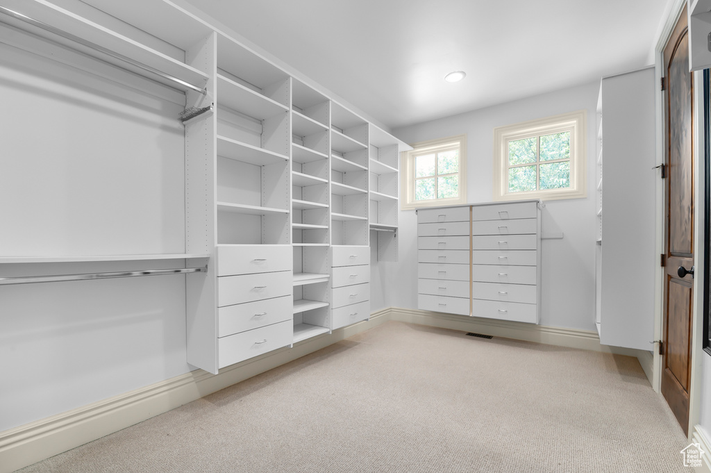 Spacious closet featuring light carpet