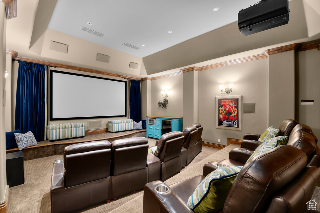 Home theater featuring radiator heating unit and carpet