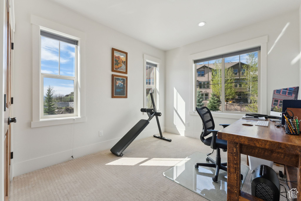 Carpeted home office with baseboards