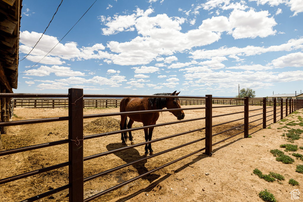 View of yard featuring a view of rural / pastoral area and an exterior structure