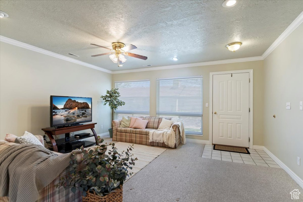 Living room featuring carpet, a ceiling fan, baseboards, a textured ceiling, and ornamental molding