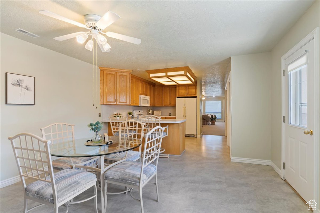 Dining space featuring plenty of natural light, baseboards, and ceiling fan