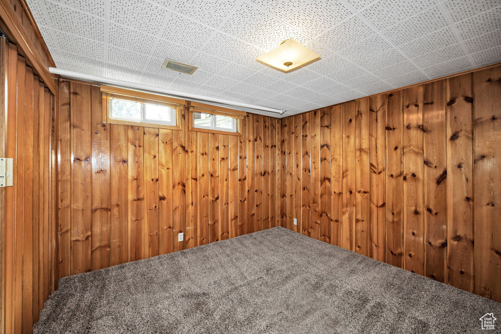 Below grade area with wood walls and carpet