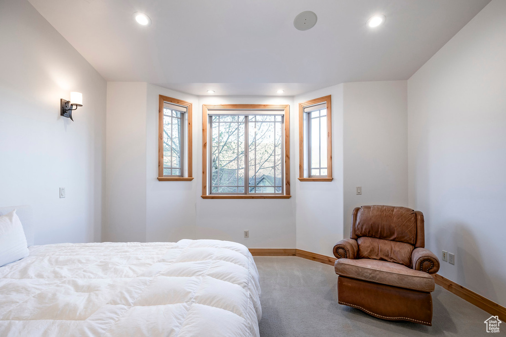Carpeted bedroom with recessed lighting