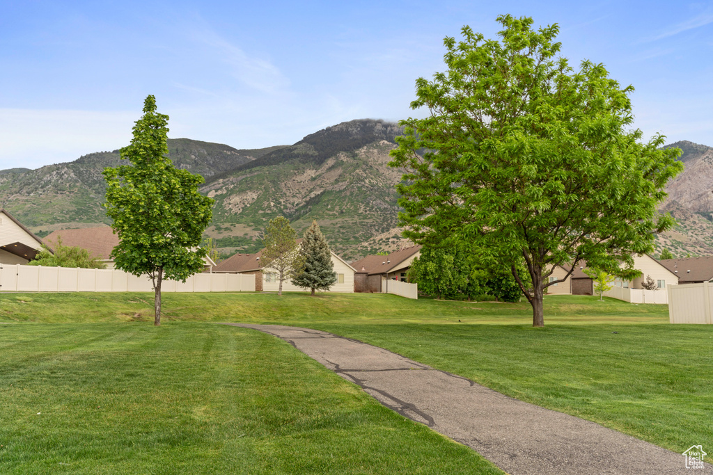 Mountain view