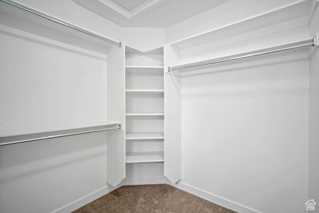 Spacious closet featuring carpet flooring
