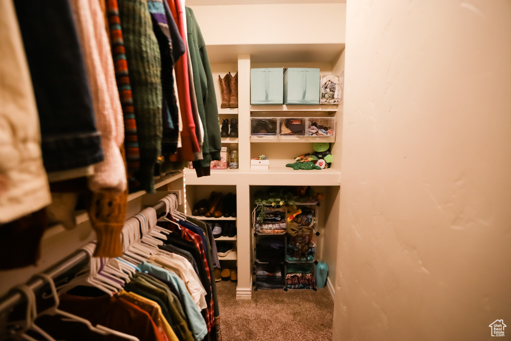 Walk in closet with carpet floors
